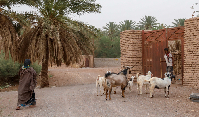Шахдад, Иран. Фото из интернета.