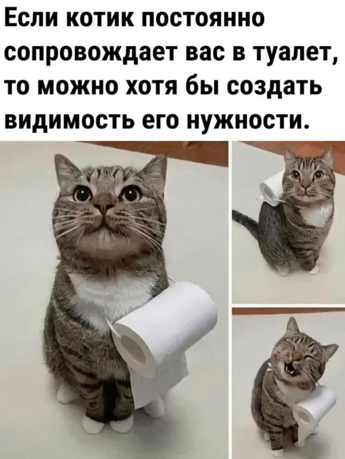     , , , Telegram (), ,  , 