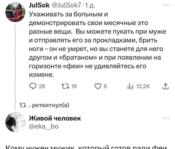 Феи и братаны