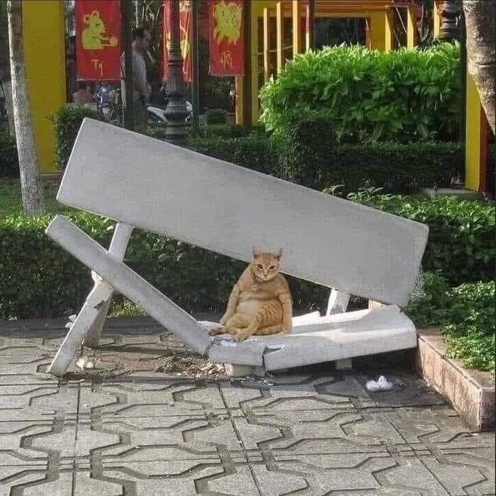 Кто-то слишком много ел