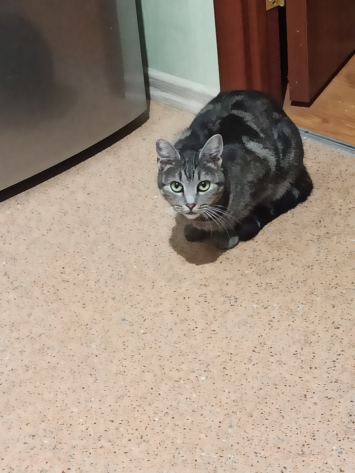       , ,  ,  , ,  , , ,  , , , , ,  , , , 