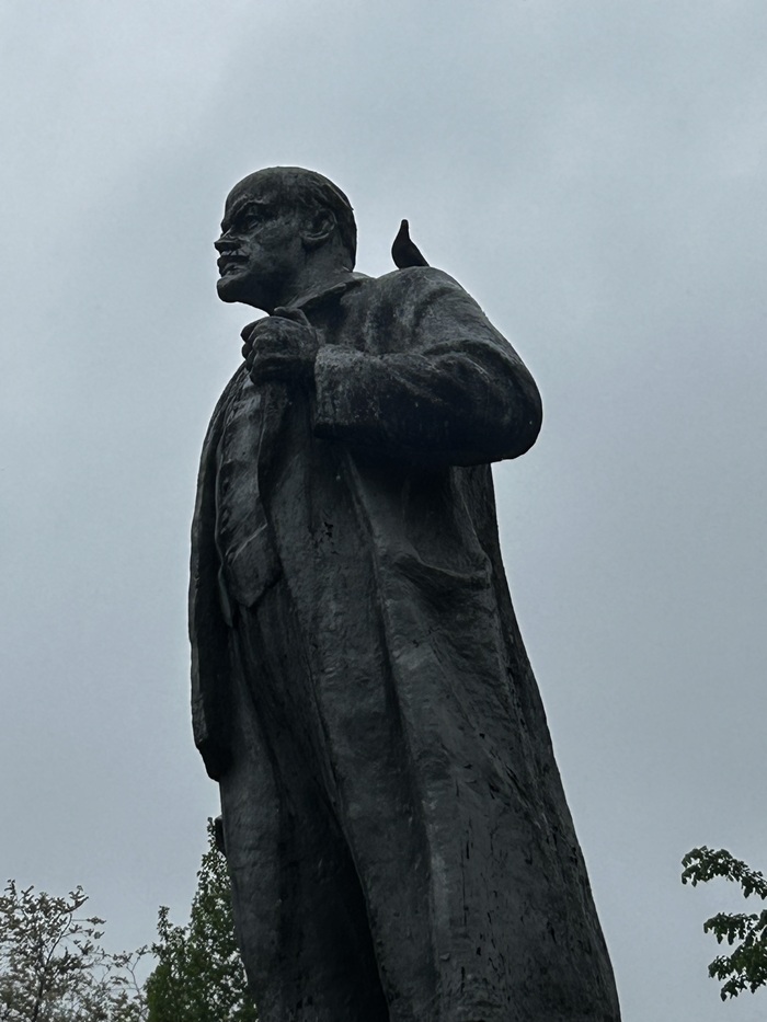 ������� ����������, ������ ����������� (������� ������� ������ �� ���)