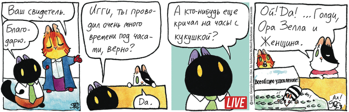 Котейкины Новости от 08.05.2025