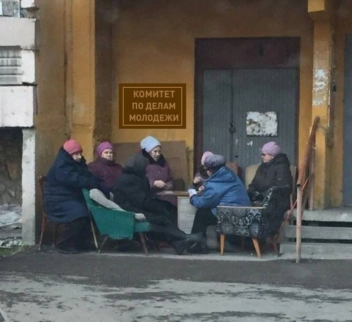  Evongelion  ,      ?