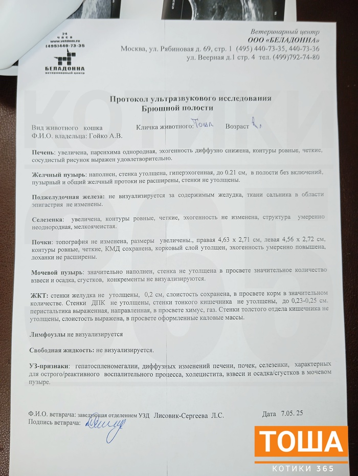  07.05.2025 , , , , ,  , 