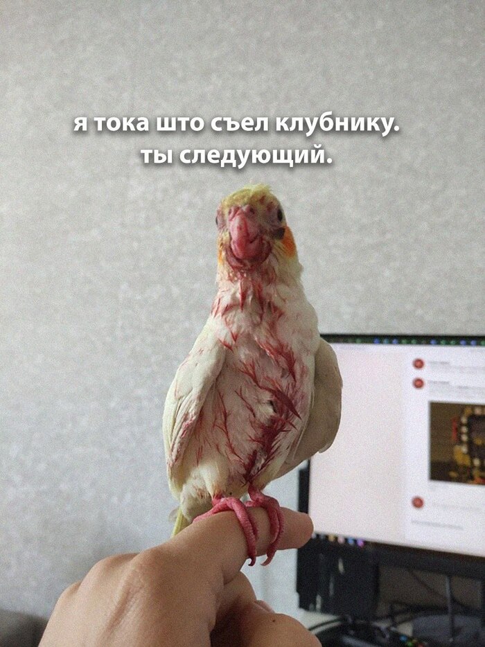   ,   , 