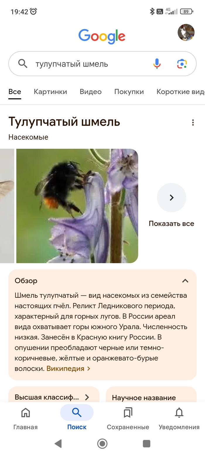   , , , , , , ,  ,  , ,  