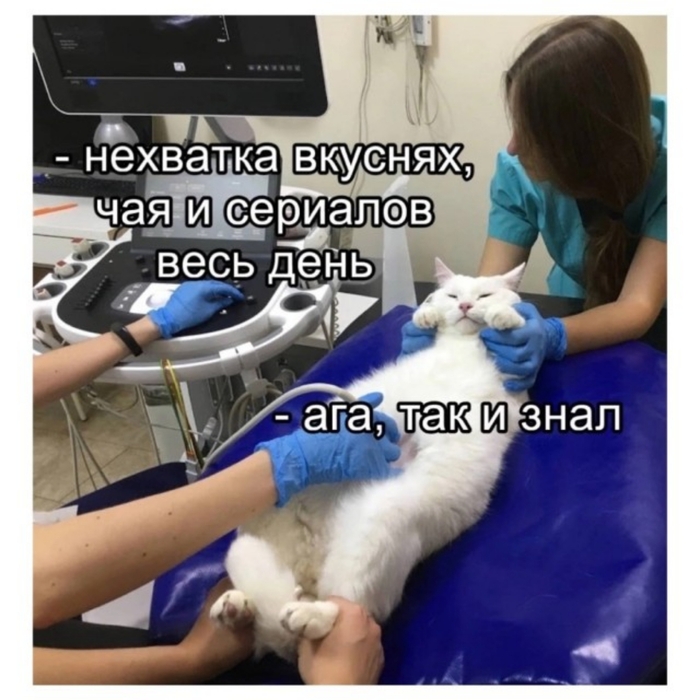 Верный диагноз