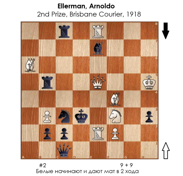  #304 ,  , , 