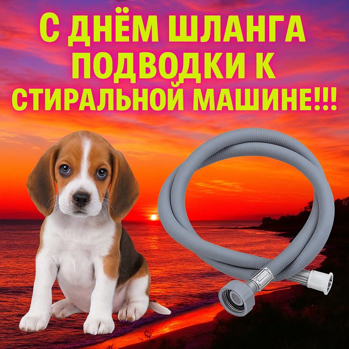 -! Viber, ,  , Telegram (),   