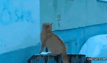   , , , 