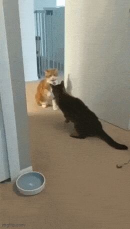   , , , 
