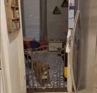  , , , 