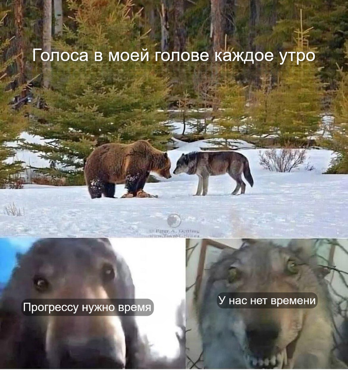  ))   , , , ,   