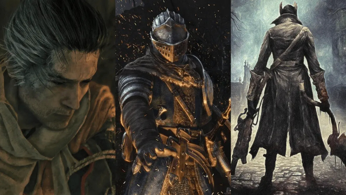      souls-like :       Souls-like, Dark Souls, Bloodborne, , 
