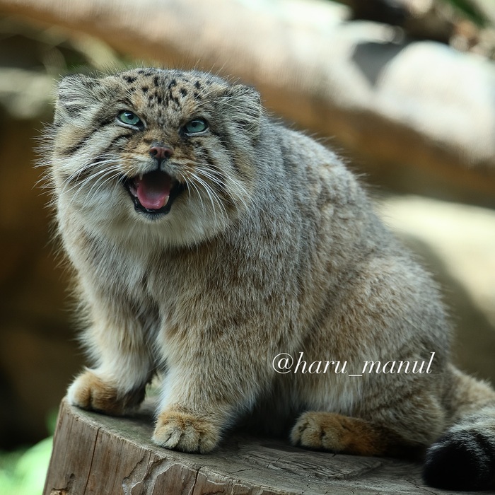 Доброе утро!