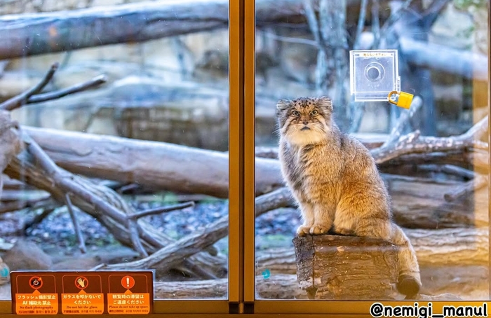 Замочек открывай, что смотришь?