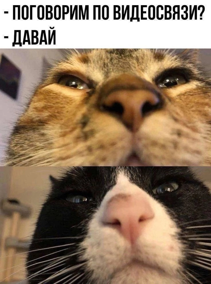       ,  , , ,  (), , , , , ,   , 