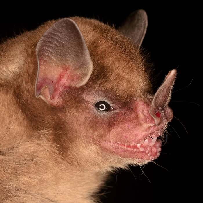    ,  , ,  ,  ,  ,  , 
