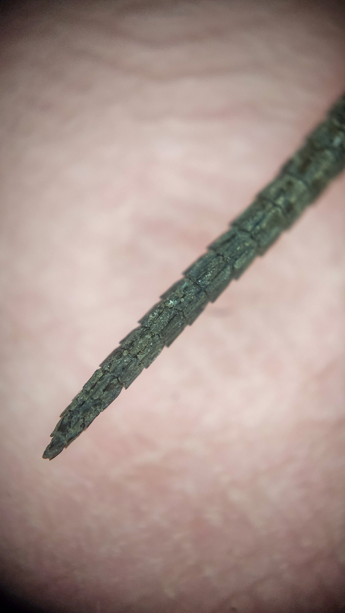 Кончик хвоста