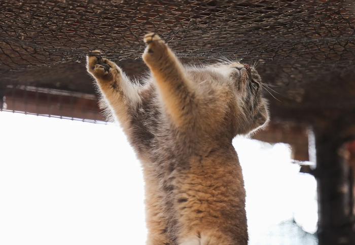 Как и старший брат Пази, Таши любит пробовать свои силы в наблюдении за птицами...