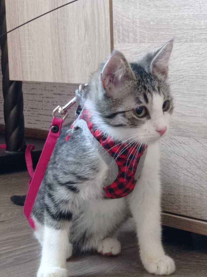       . ,   ,   3   ,   ,  , -,  , , ,   , 