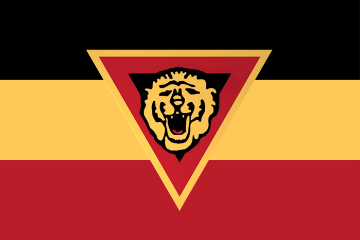 Флаг Бельгийской секретной армии