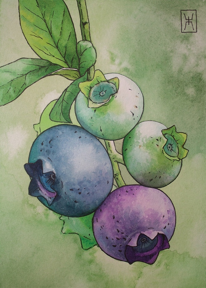 ��������. ��������� ������ �5, ��������, ������. 7000�