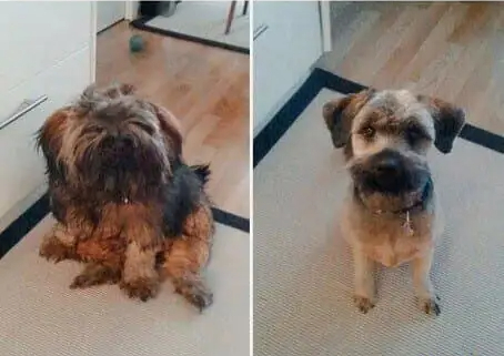 Бросил пить