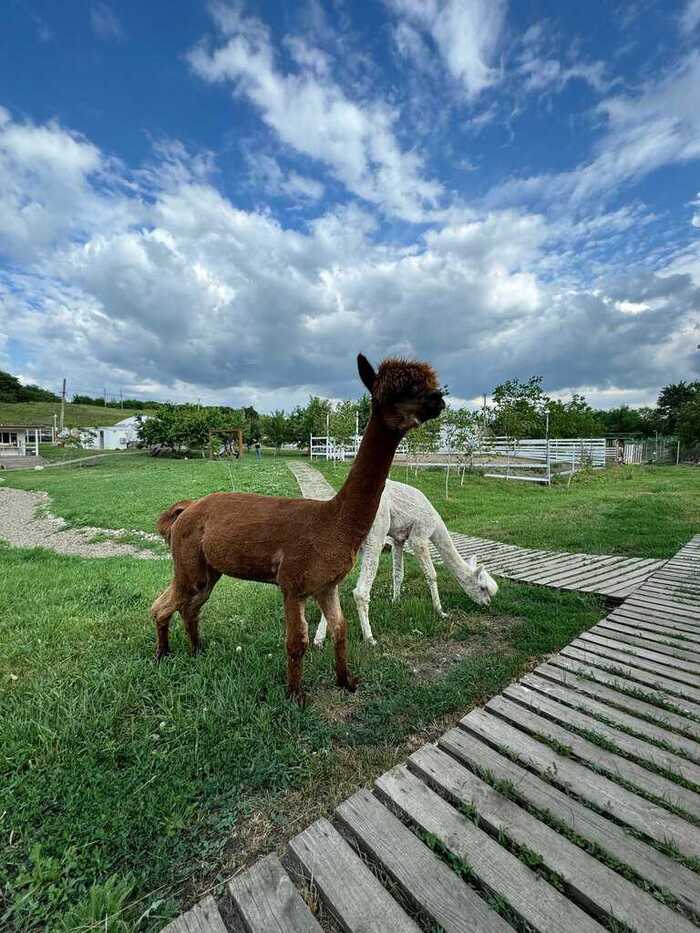 ����� ��� ���������� ��������, ���� ���� ������������� ����� � ���������?