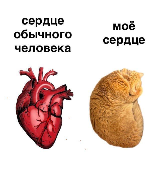     ,   , 