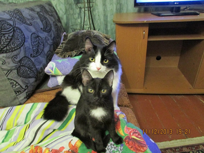 ����������� � �����������