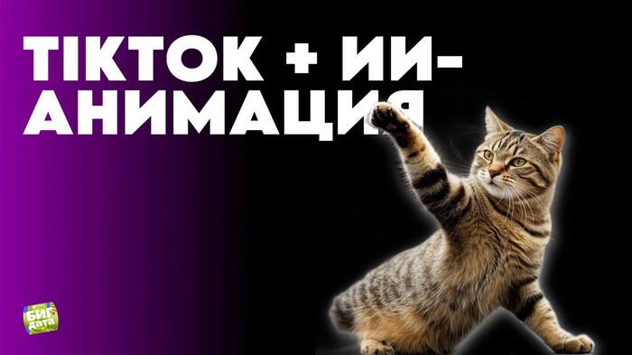 TikTok    , ChatGPT, , ,  , TikTok