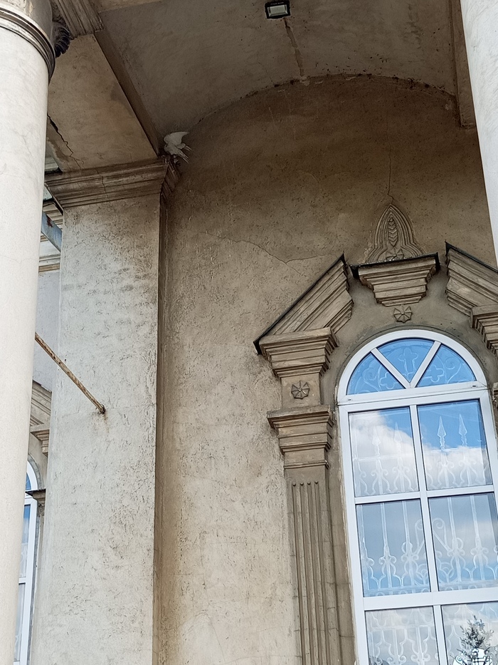 А САМОЧКА УЖЕ СИДИТ НА ЯЙЦАХ И НЕ ВЫЛЕТАЕТ. ДВА БЕЛЫХ ГОЛУБЯ, ОЧЕВИДНО ВЫПУЩЕННЫЕ НА КАКОМ -ТО ТОРЖЕСТВЕ. - ВСЕ ЖИВОЕ ХОЧЕТ ЖИТЬ!