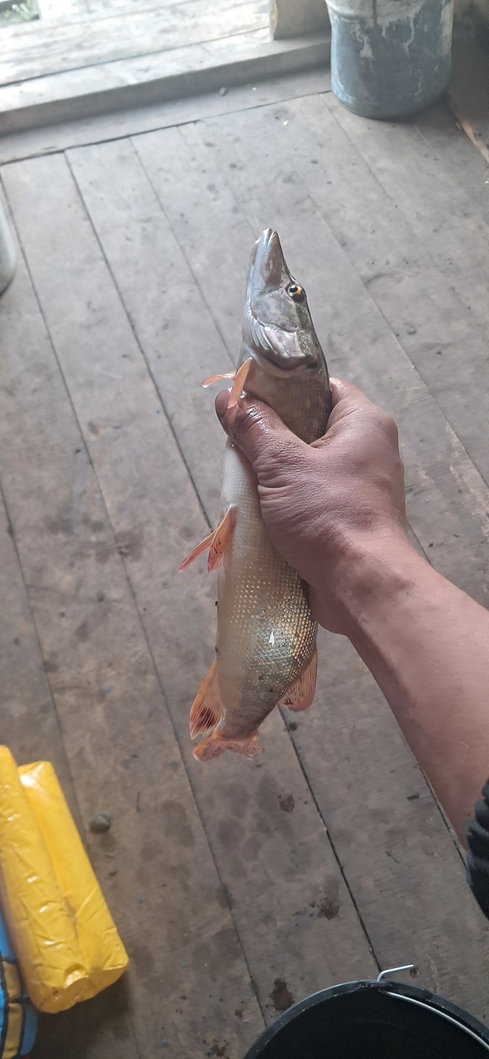  , , , , , 