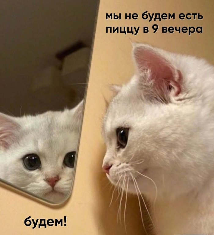 ���� �����, ����� ���� ��� �������� ���� ����� �� �����)