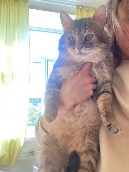 ����� ������ ����� ����� �����!