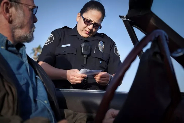 Дорожная полиция США