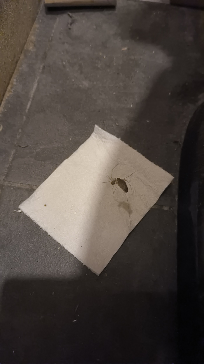    , , , , 