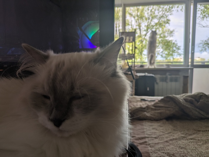     , , , , ,  ,  , 
