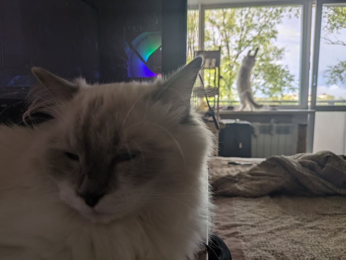     , , , , ,  ,  , 