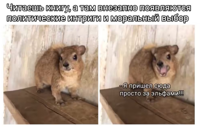    ( ): ,      ,  , , ,  