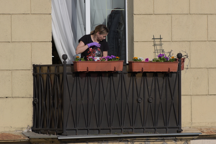 300/4 Цейсс Дженна с выломанной диафрагмой jpg, без фш