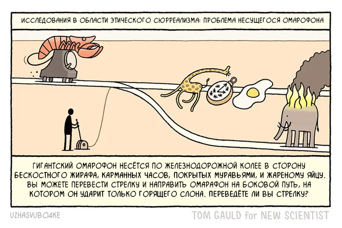    , , Tom gauld,  , , ,  