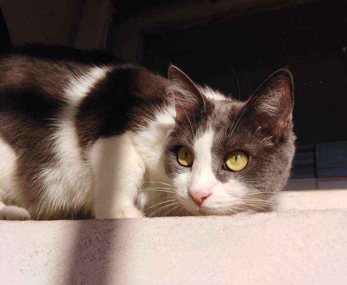 ���� � �������� (((