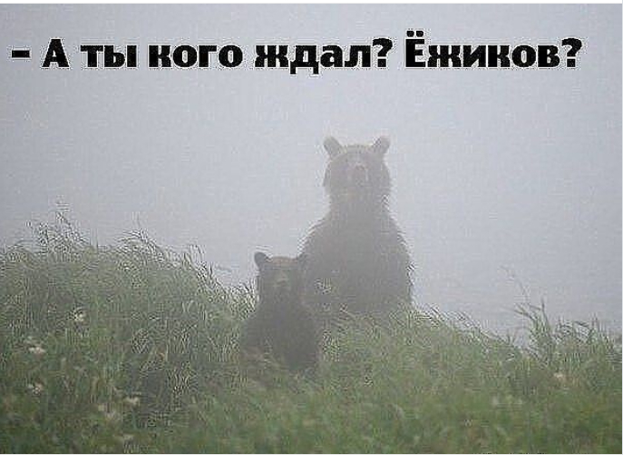  ,   .       , , , , , , , , , 