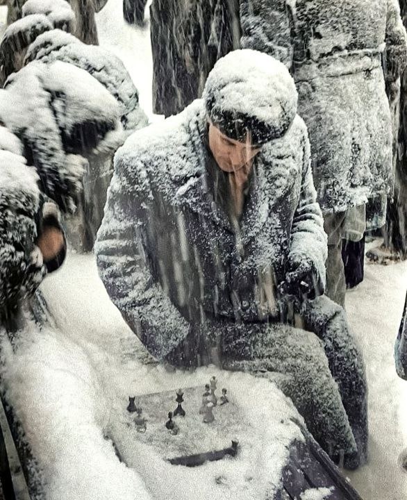 Шахматисты на Цветном бульваре в Москве. 1950-е годы.