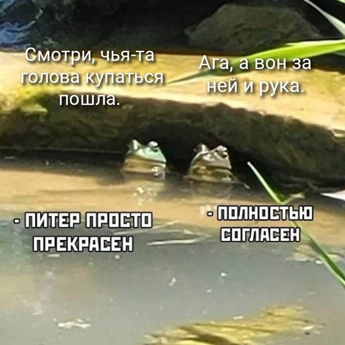      )) -, ,  ,   
