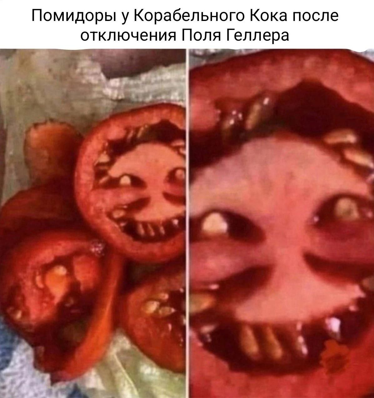 Помидоры у кока