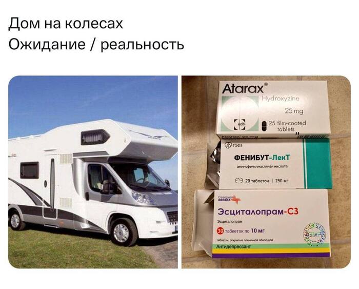   30  ,   , , ,   , Telegram ()